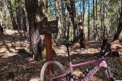 My New Mountain Bike